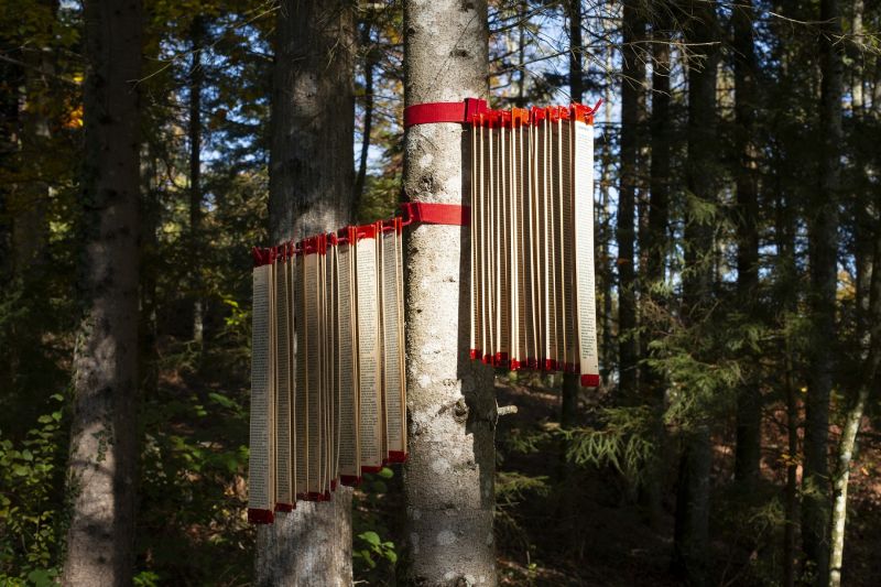 Balade avec Sandra de Vivies et Élise Fouin