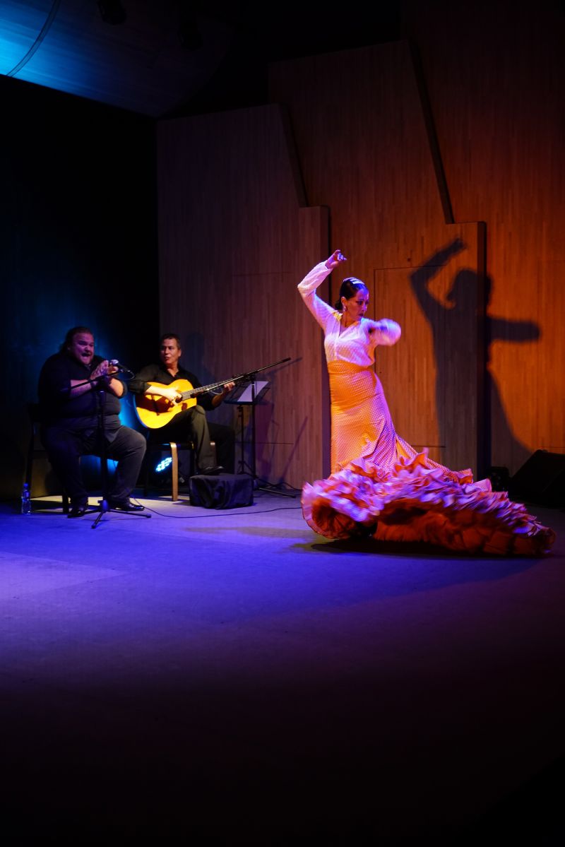 Flamenco show by Belén Maya