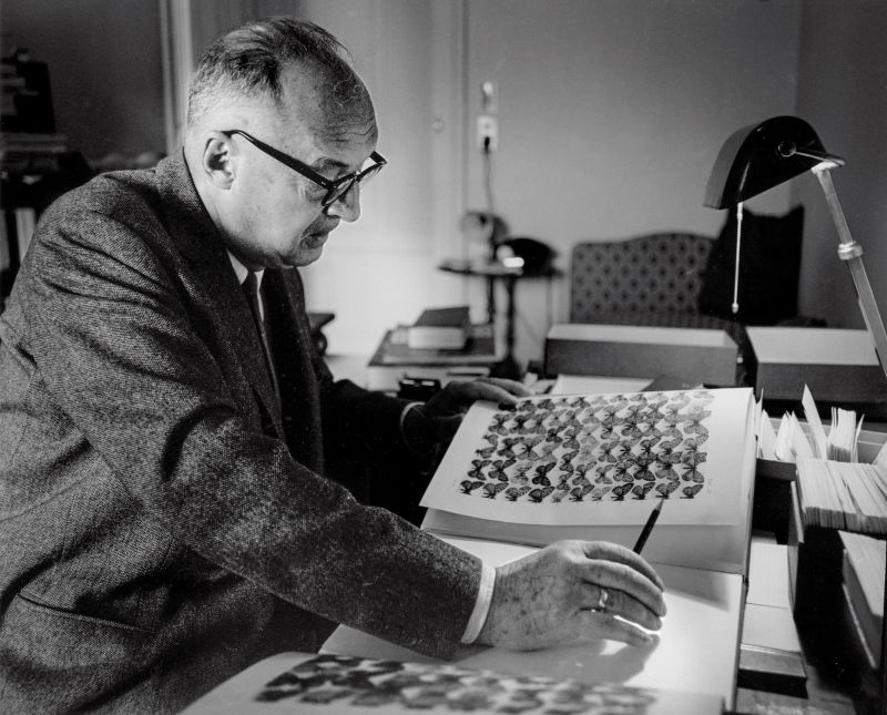 Horst Tappe, Vladimir Nabokov, Le Montreux Palace, 1965 © Fondation Horst Tappe | Keystone | Horst Tappe